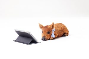 スリープ状態のままだと勝手に画面が開いてしまう？