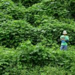 スマホアプリが遭難夫婦を救助！どんな時でもスマホは大事