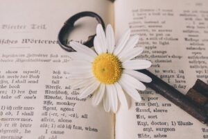 iPhoneで英単語の発音を確認したいときの方法