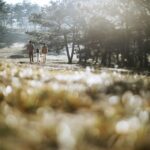 iPhoneのヘルスケアを家族と共有する方法