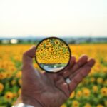 iPhoneのロック画面にカラーフィルタをかける方法