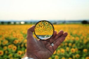 iPhoneのロック画面にカラーフィルタをかける方法