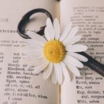 iPhoneのメッセージをリアルタイムで翻訳する方法