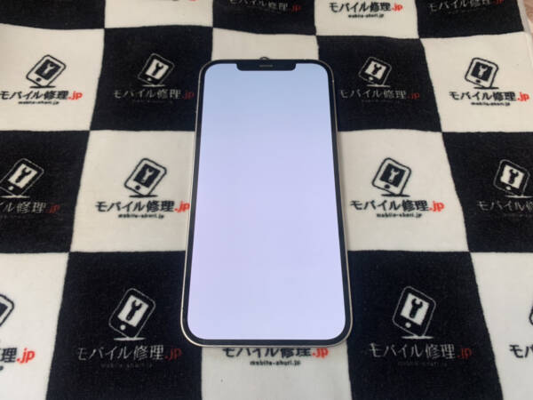 落下の衝撃で画面全体が真っ白になったiPhone12ProMaxの修理依頼