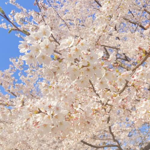 学生のみなさん、ご卒業おめでとうございます！